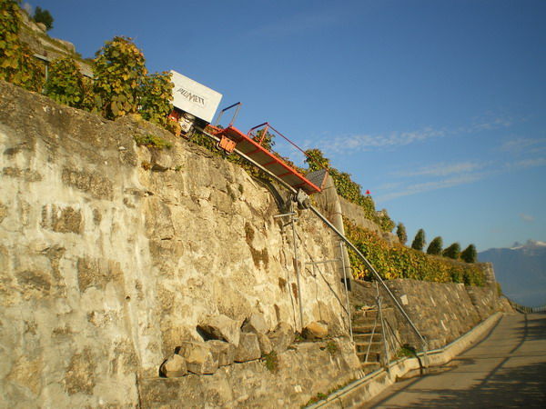 IMGP2667_redim