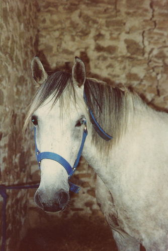 Tasa2