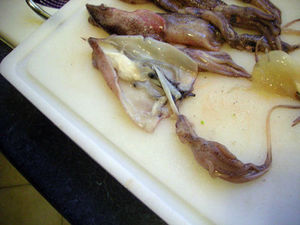DSCN8100