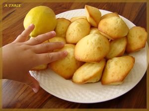 MADELEINE_AU_CITRON4