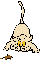 chat16