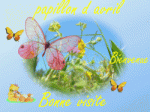 papillondavril logo