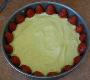 fraisier10effet