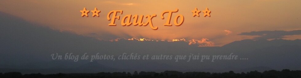 ** Faux To **  © ________ Copie(s) interdite(s)