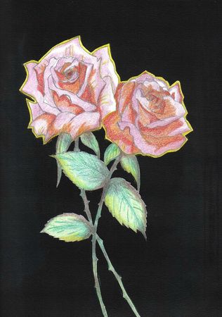 174) Roses