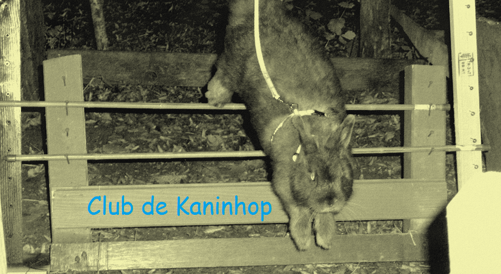 The Kaninhop Club