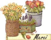 mercifleurs