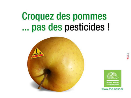 FNE_pesticides_Pomme