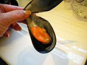 DSCN8421