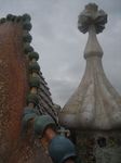 IMG_2491_1