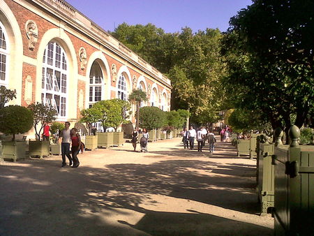 IMG00846_20101009_1544