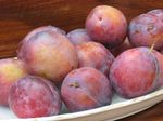 prunes1