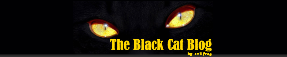 The Black Cat Blog