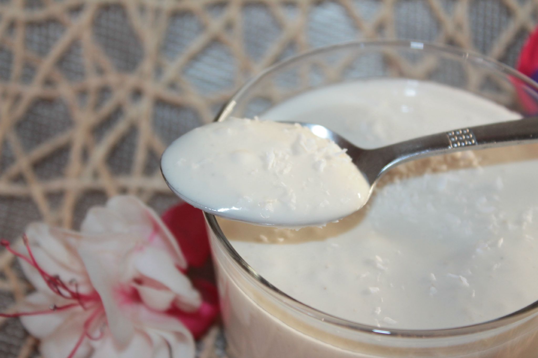 Délice Tofu Vanille et Lait de Coco - Mes P&amp;#39;tits Biscuits Gourmands et ...