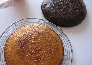 img2812copieev6