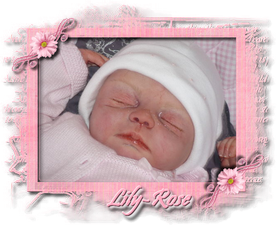 lily-rose