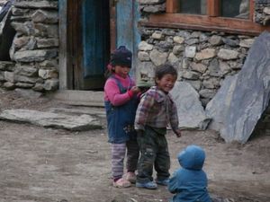 Trek Annapurna FZ28 - 0830