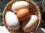 Huevos_Mw