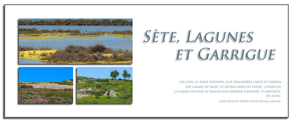Sète, Lagunes et Garrigue