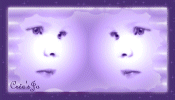 bouton_vide_signe