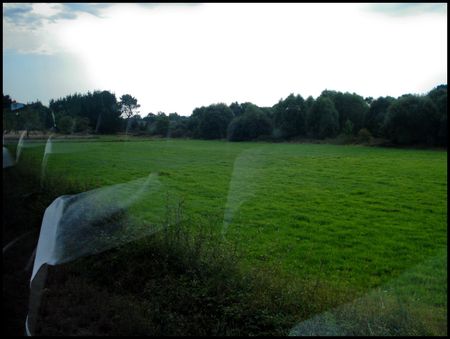 DSC02635
