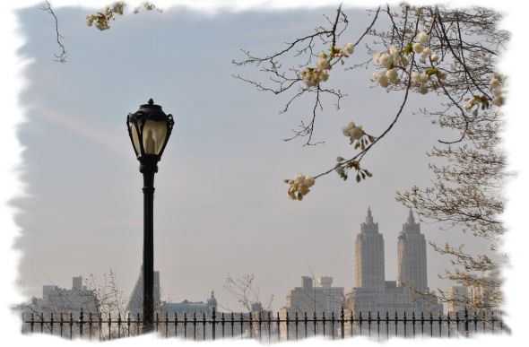 central_park