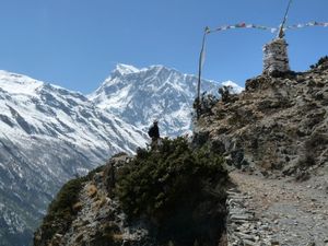 Trek Annapurna FZ28 - 0544