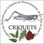 Logo Criquets