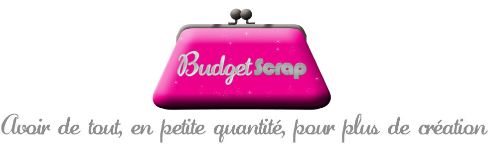 Le blog de la boutique BudgetScrap.com