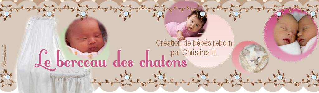 Le Berceau des Chatons