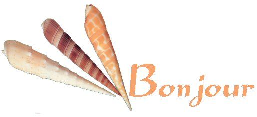 bonjour21