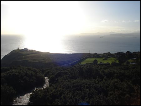 DSC04464