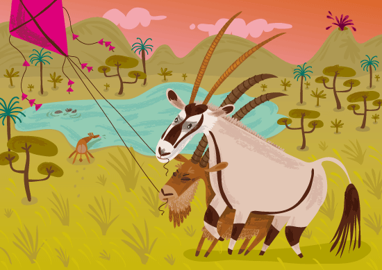 oryx-algazelle