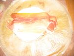 Papillotes croustillantes au camembert 73013645_p