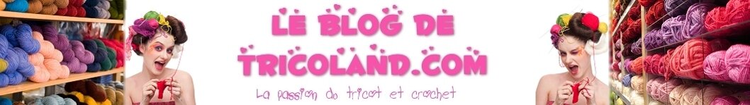 Le Blog de Tricoland