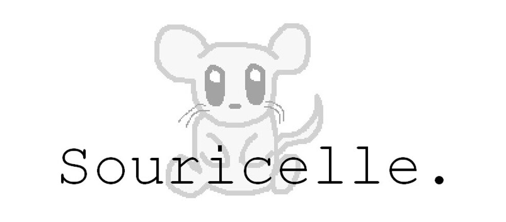 Chroniques d'une petite souris pixellisée
