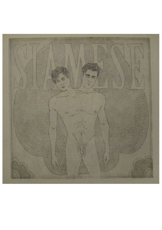 siamese