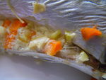 maquera