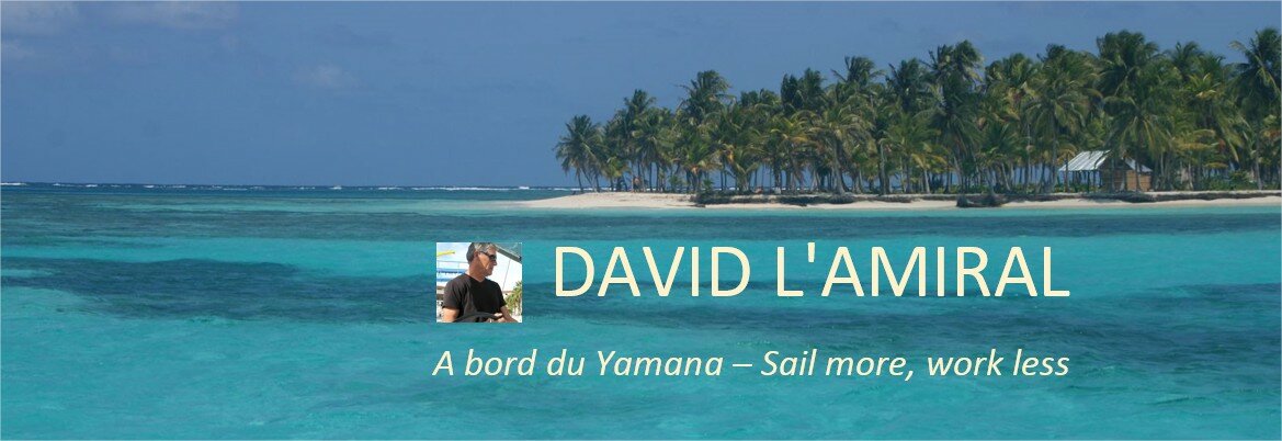 DAVID L'AMIRAL