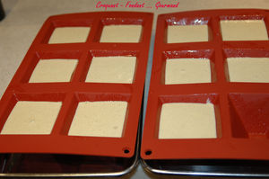 Panna_cotta_au_foie_gras___octobre_2009_231_copie