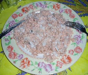 terrinesaumon1