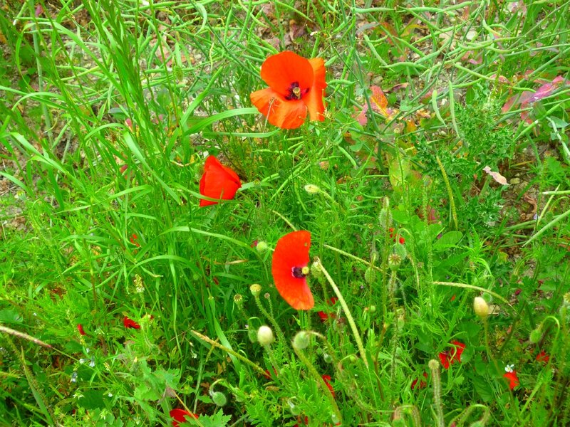 P1080063