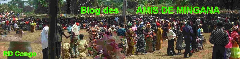 Blog des Amis de Mingana (RDC)