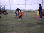 ULYSSE en Agility 70758002_p