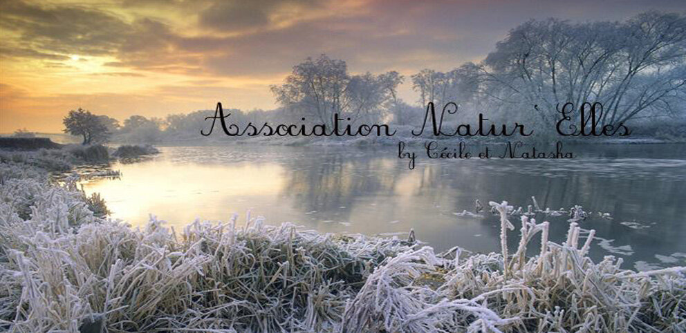 Association Natur' Elles