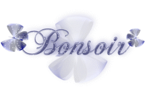 BONSOIR-12