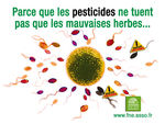 pesticides