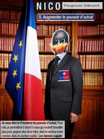 Nico_Pingouin