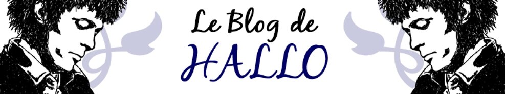 LE Blog de Hallo