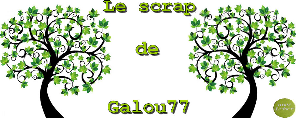 Le Scrapbooking de Galou77